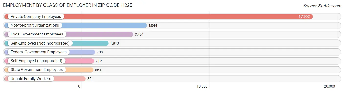 Employment by Class of Employer in Zip Code 11225