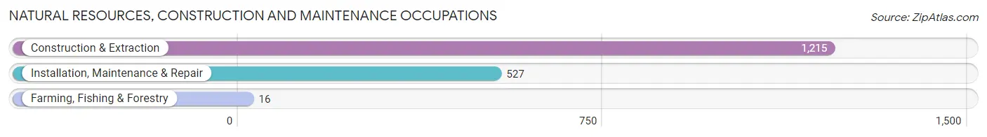 Natural Resources, Construction and Maintenance Occupations in Zip Code 11225