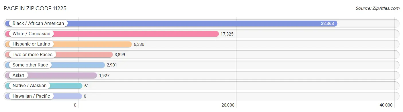 Race in Zip Code 11225