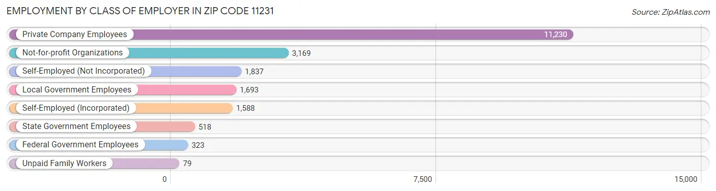 Employment by Class of Employer in Zip Code 11231