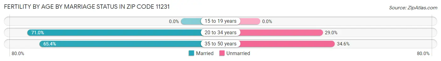 Female Fertility by Age by Marriage Status in Zip Code 11231