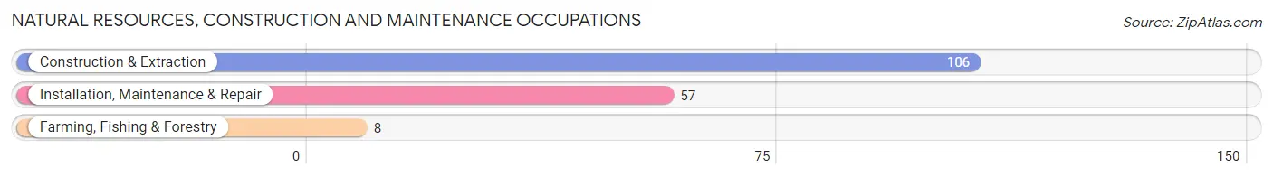 Natural Resources, Construction and Maintenance Occupations in Zip Code 11231