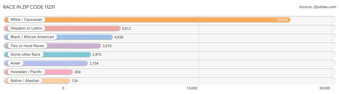Race in Zip Code 11231