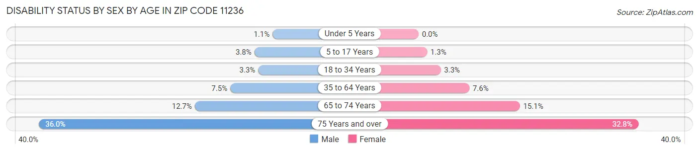 Disability Status by Sex by Age in Zip Code 11236