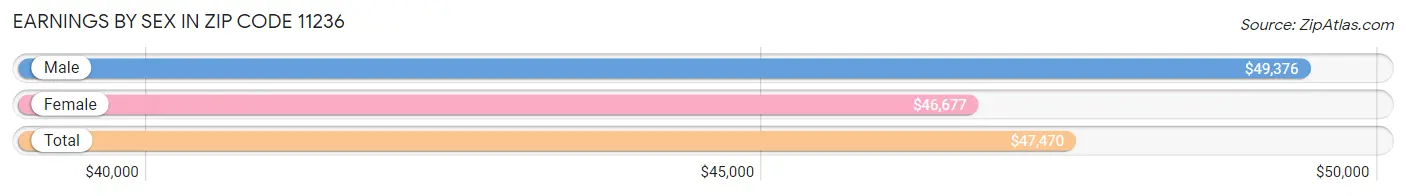 Earnings by Sex in Zip Code 11236