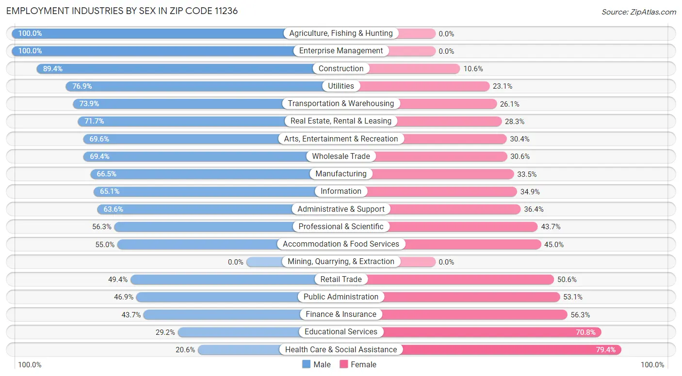 Employment Industries by Sex in Zip Code 11236