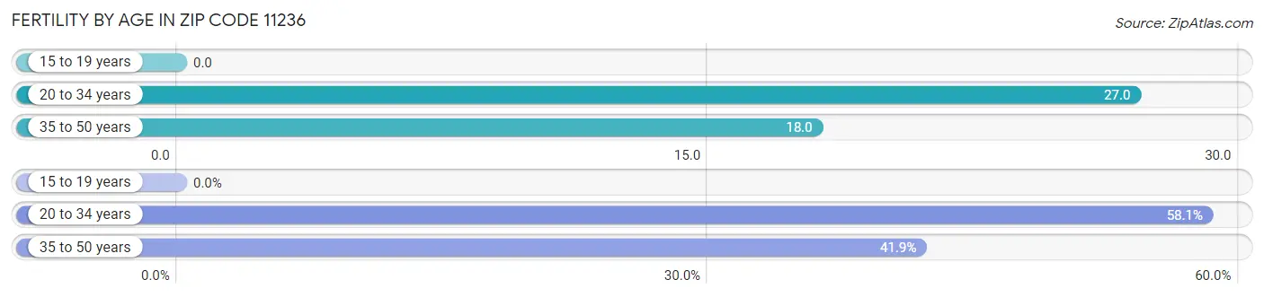 Female Fertility by Age in Zip Code 11236