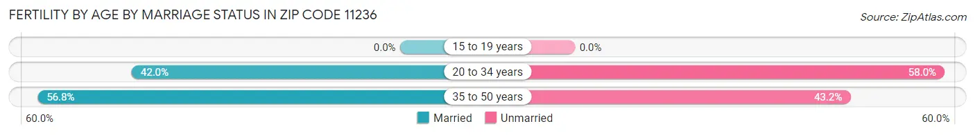 Female Fertility by Age by Marriage Status in Zip Code 11236