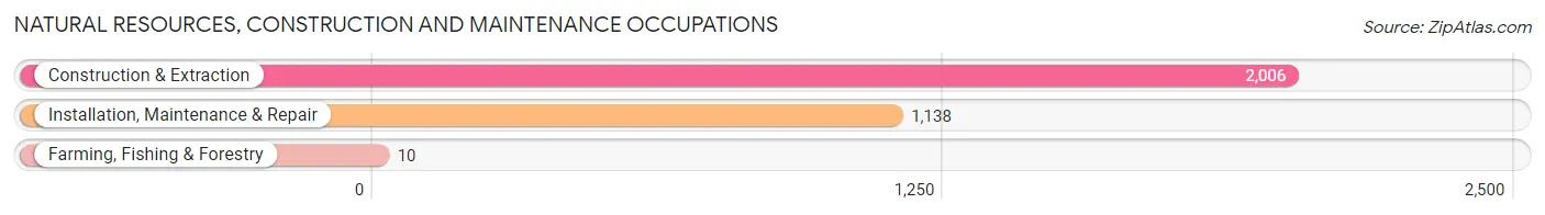 Natural Resources, Construction and Maintenance Occupations in Zip Code 11236