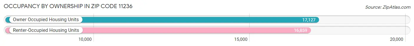 Occupancy by Ownership in Zip Code 11236