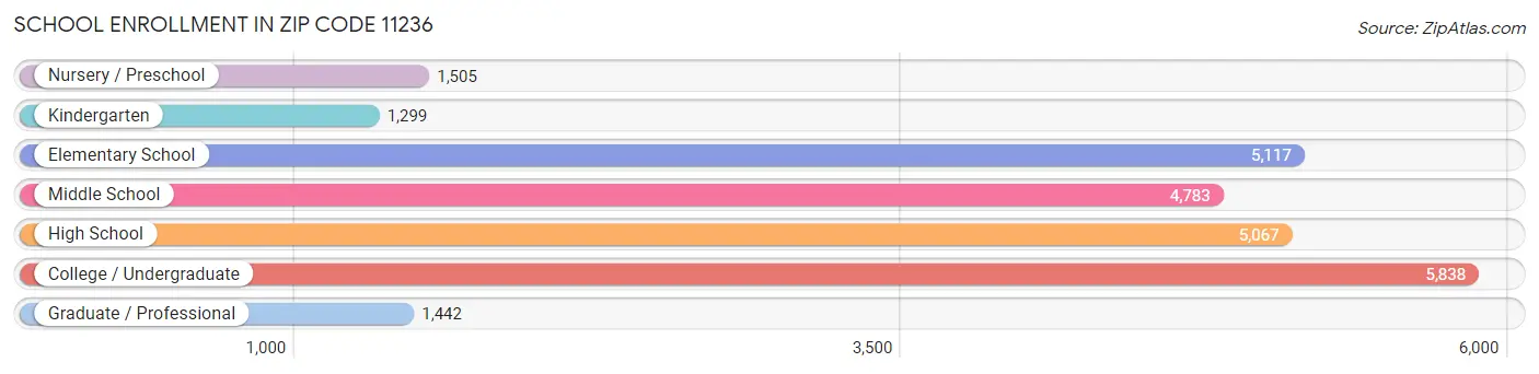 School Enrollment in Zip Code 11236