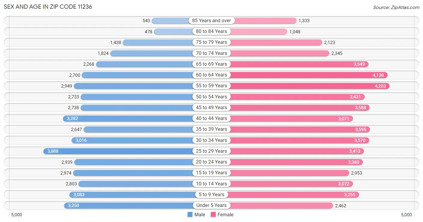 Sex and Age in Zip Code 11236