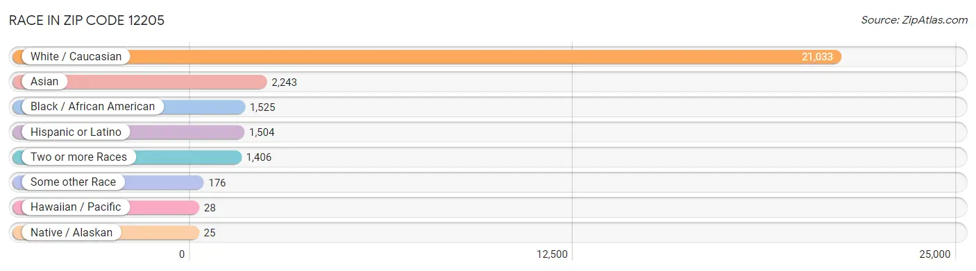Race in Zip Code 12205