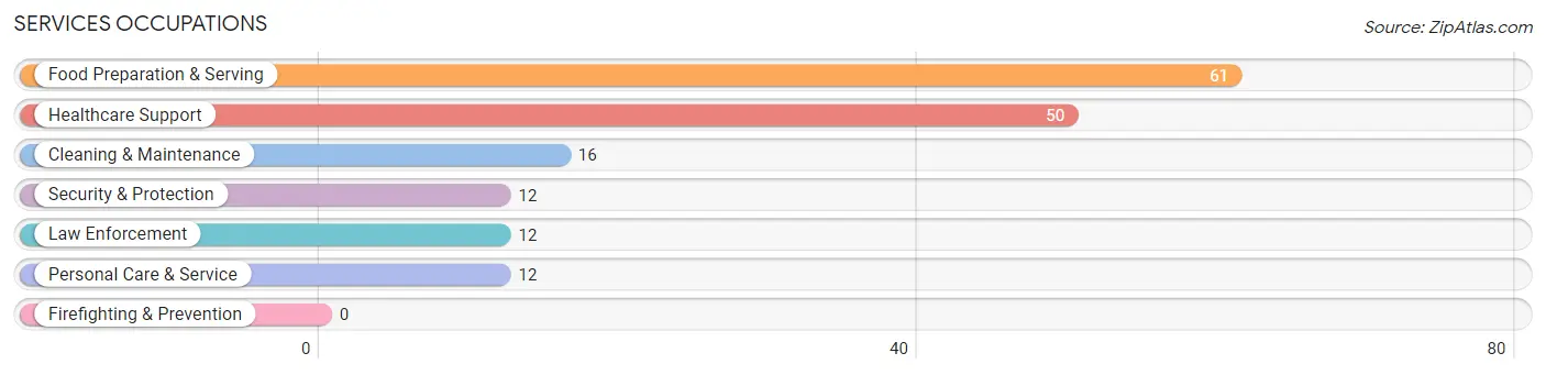 Services Occupations in Zip Code 12207