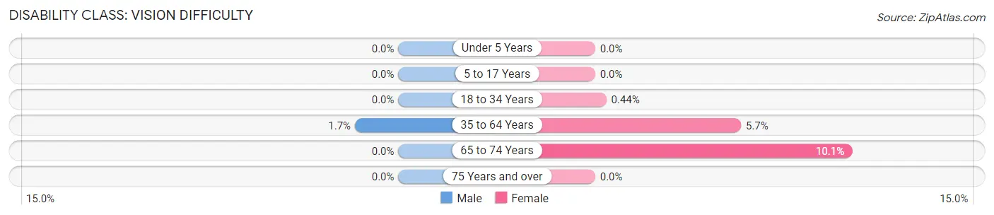 Disability in Zip Code 12207: <span>Vision Difficulty</span>