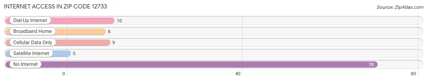 Internet Access in Zip Code 12733