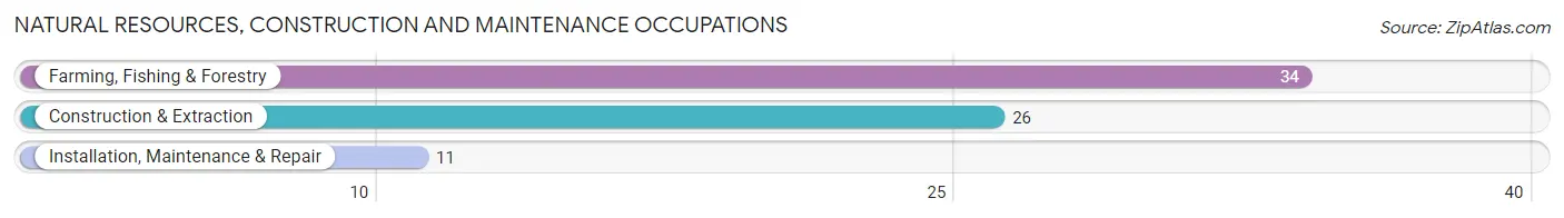 Natural Resources, Construction and Maintenance Occupations in Zip Code 15233