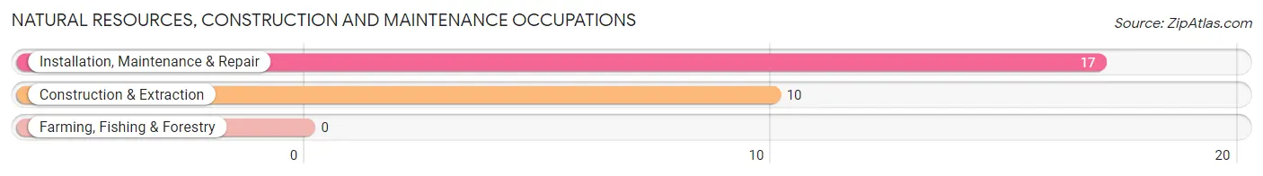 Natural Resources, Construction and Maintenance Occupations in Zip Code 18351