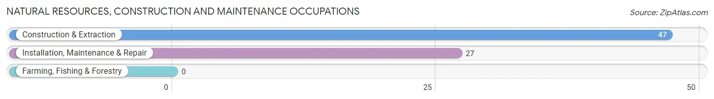 Natural Resources, Construction and Maintenance Occupations in Zip Code 19118