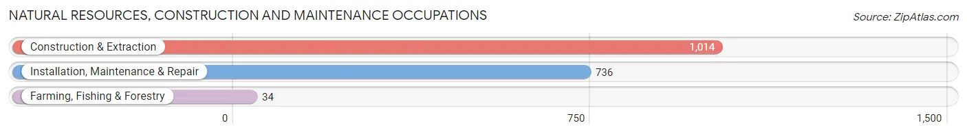 Natural Resources, Construction and Maintenance Occupations in Zip Code 20886