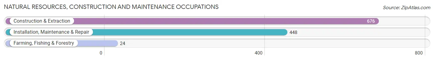 Natural Resources, Construction and Maintenance Occupations in Zip Code 21074