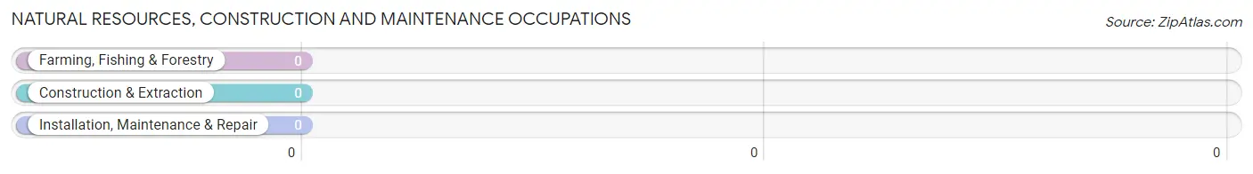 Natural Resources, Construction and Maintenance Occupations in Zip Code 21105