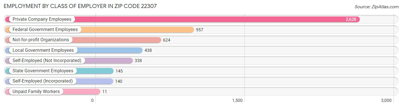 Employment by Class of Employer in Zip Code 22307