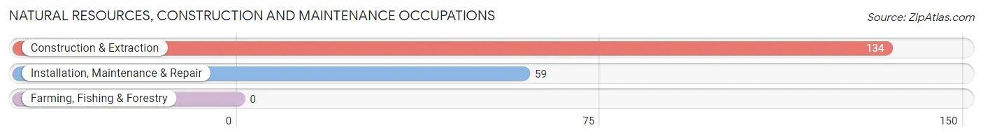 Natural Resources, Construction and Maintenance Occupations in Zip Code 22307