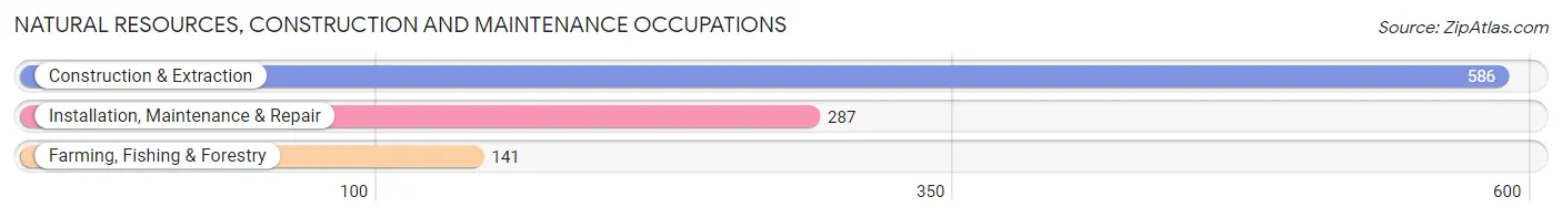 Natural Resources, Construction and Maintenance Occupations in Zip Code 30606