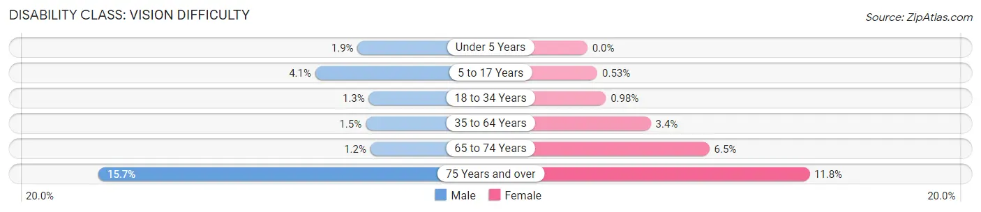 Disability in Zip Code 30606: <span>Vision Difficulty</span>