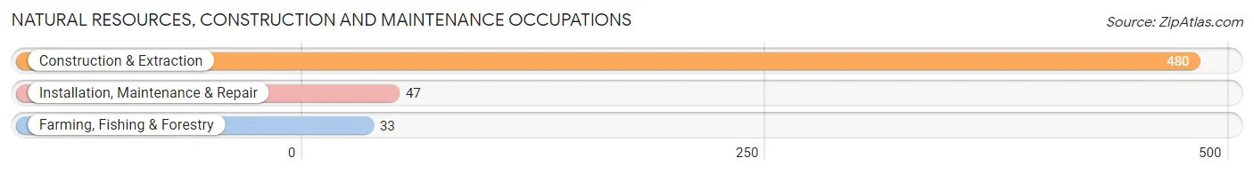 Natural Resources, Construction and Maintenance Occupations in Zip Code 31096