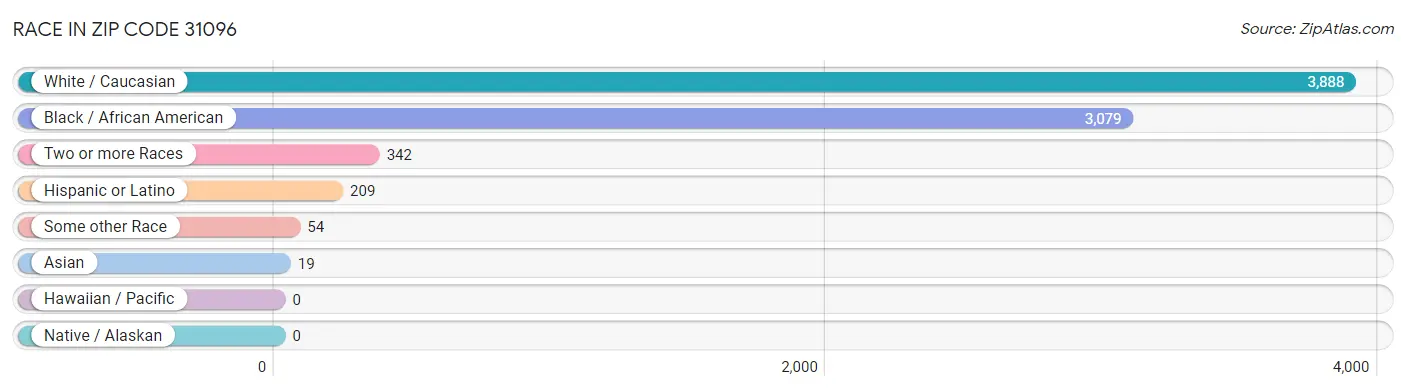 Race in Zip Code 31096