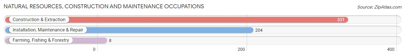 Natural Resources, Construction and Maintenance Occupations in Zip Code 32234