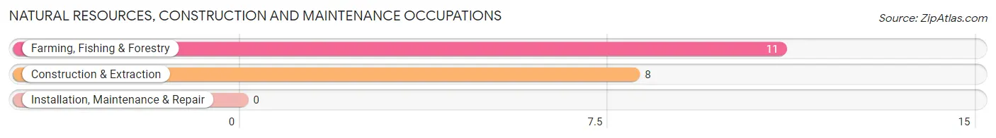 Natural Resources, Construction and Maintenance Occupations in Zip Code 32463