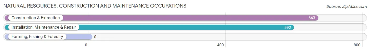 Natural Resources, Construction and Maintenance Occupations in Zip Code 32927