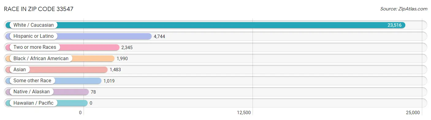 Race in Zip Code 33547