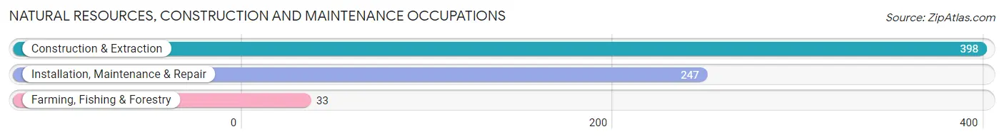 Natural Resources, Construction and Maintenance Occupations in Zip Code 34471