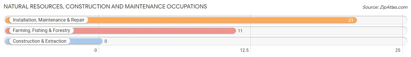 Natural Resources, Construction and Maintenance Occupations in Zip Code 36749