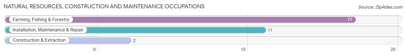 Natural Resources, Construction and Maintenance Occupations in Zip Code 39826