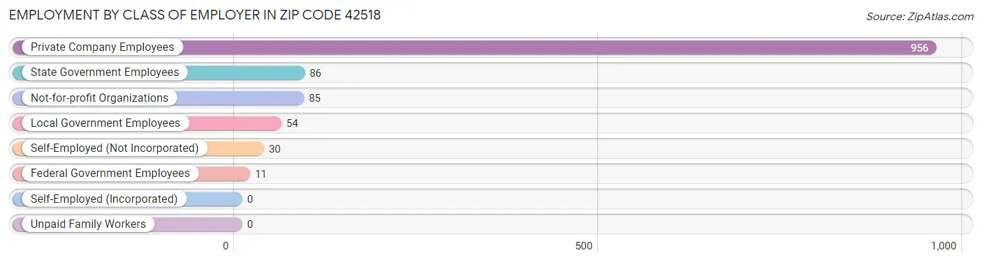 Employment by Class of Employer in Zip Code 42518