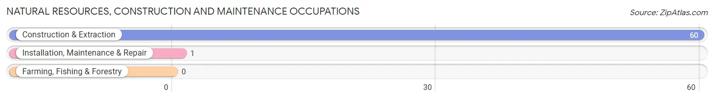 Natural Resources, Construction and Maintenance Occupations in Zip Code 42518