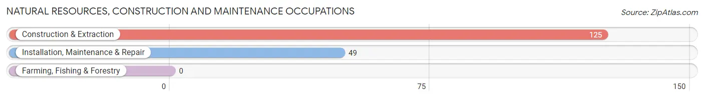 Natural Resources, Construction and Maintenance Occupations in Zip Code 45732