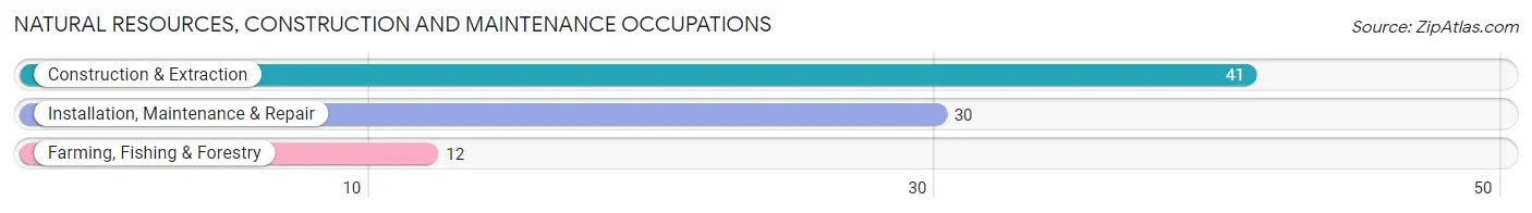 Natural Resources, Construction and Maintenance Occupations in Zip Code 47862