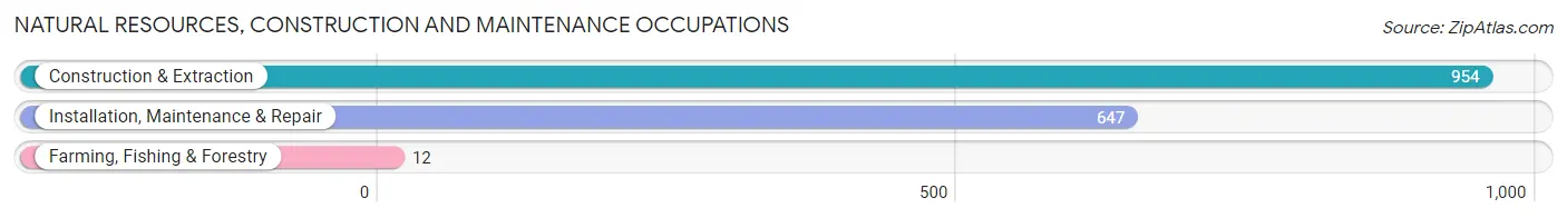 Natural Resources, Construction and Maintenance Occupations in Zip Code 48047