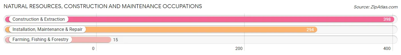 Natural Resources, Construction and Maintenance Occupations in Zip Code 48125