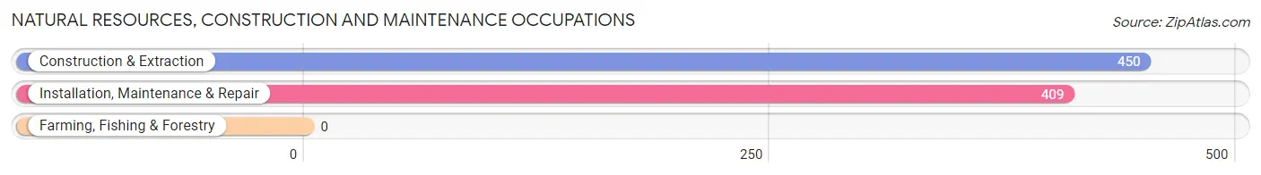 Natural Resources, Construction and Maintenance Occupations in Zip Code 48187