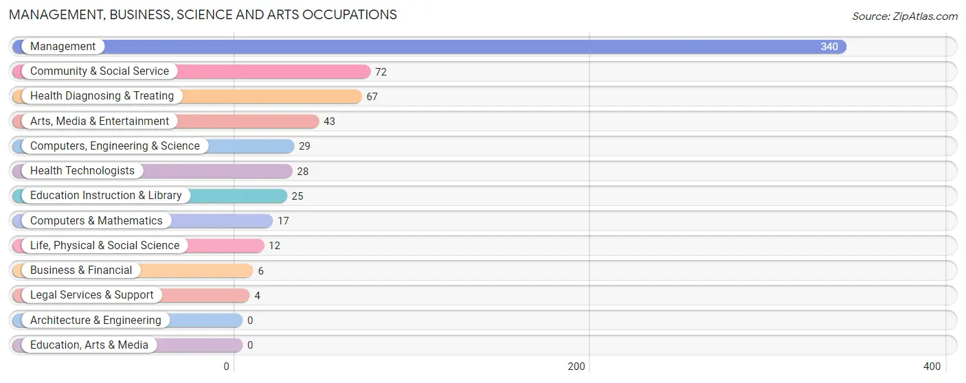 Management, Business, Science and Arts Occupations in Zip Code 48218