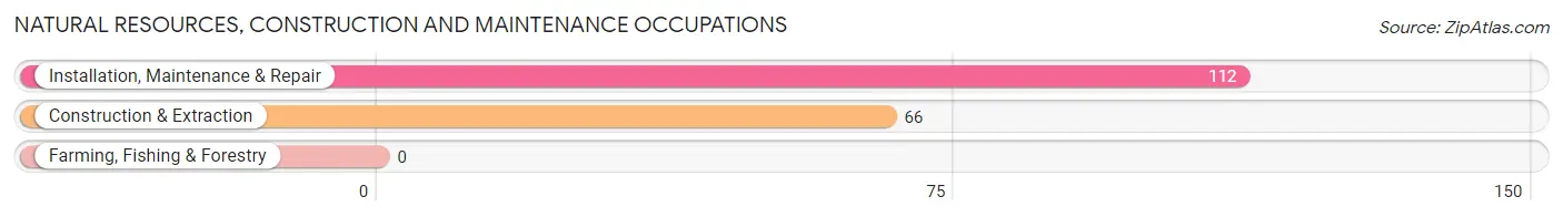 Natural Resources, Construction and Maintenance Occupations in Zip Code 48218