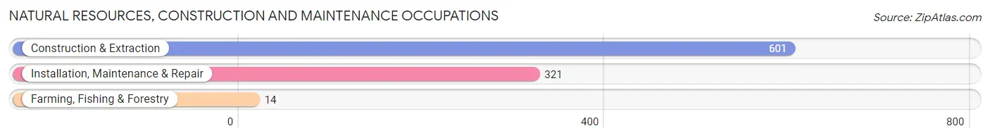 Natural Resources, Construction and Maintenance Occupations in Zip Code 48336