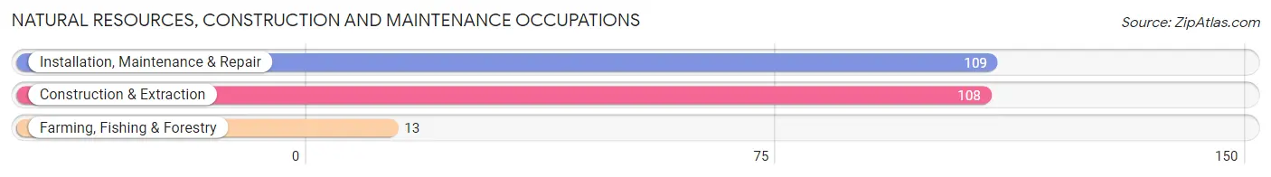 Natural Resources, Construction and Maintenance Occupations in Zip Code 48822